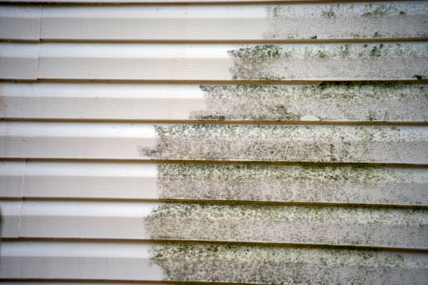 Historical Building Siding Restoration in Discovery Bay, CA