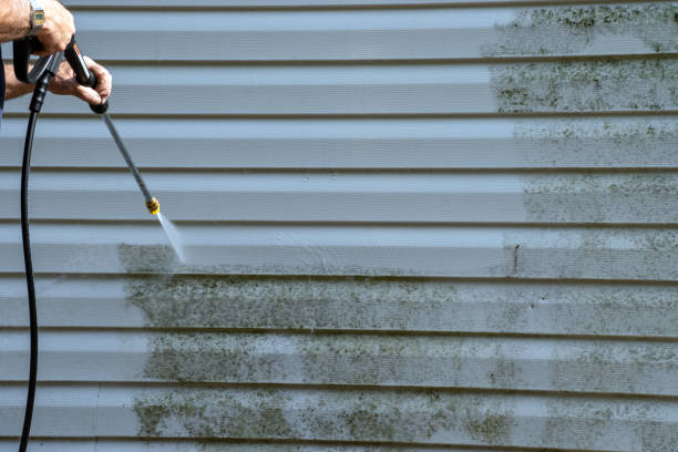 Best Steel Siding Installation  in Discovery Bay, CA