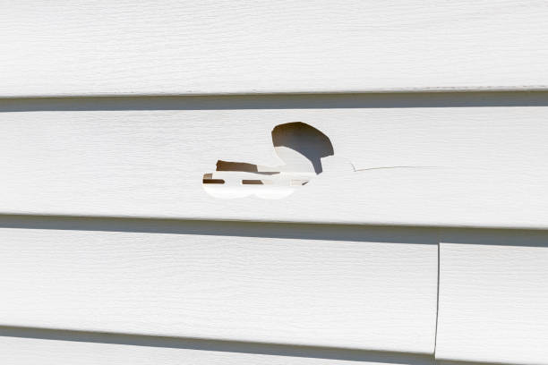 Best Composite Siding  in Discovery Bay, CA